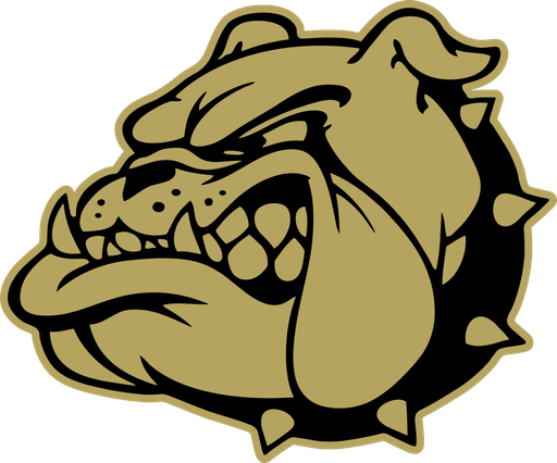 Brady team logo