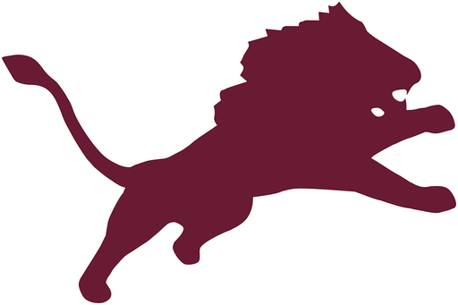 Brownwood team logo