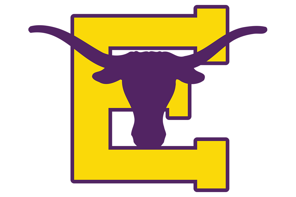 Early team logo