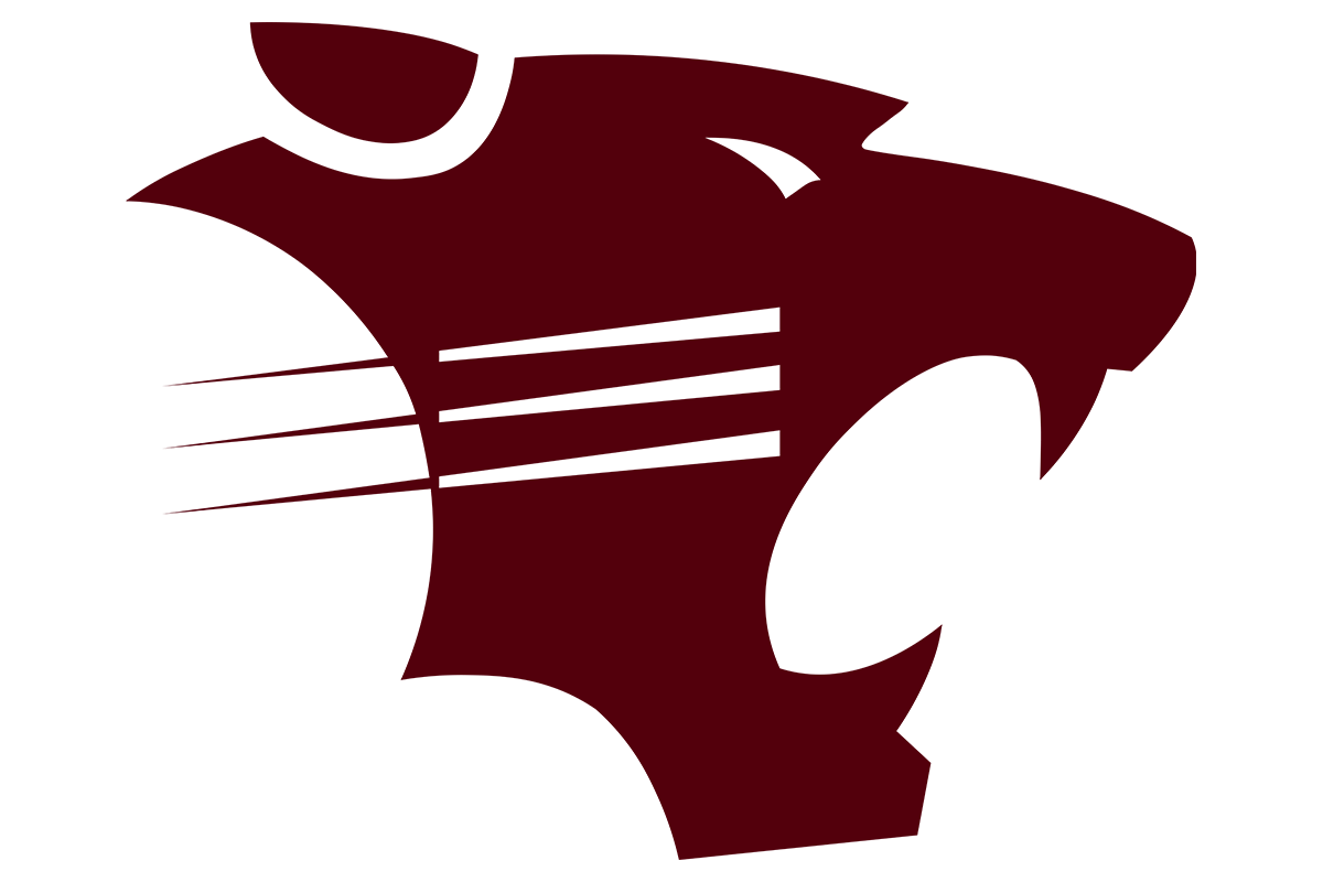 Hawley Bearcats logo